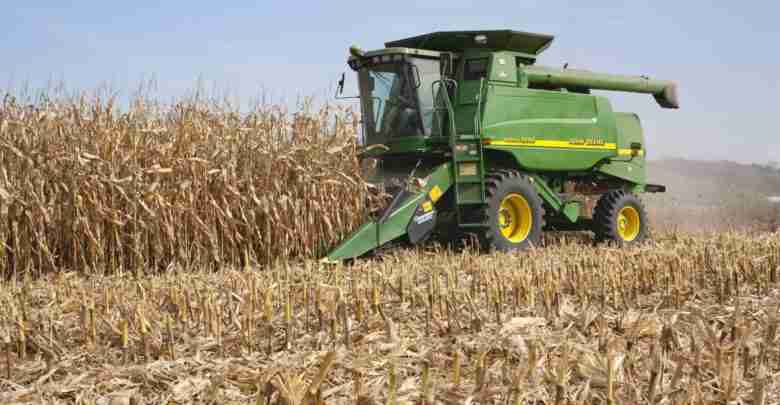 Farmer In A John Deere Combine Harvesting Corn