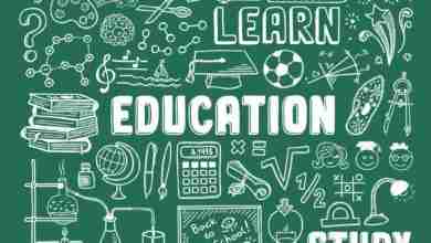 Education Doodle Elements