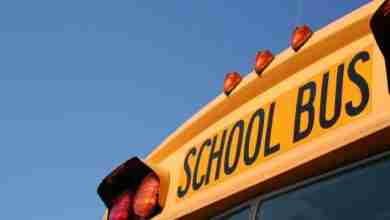 School Bus Diagonal