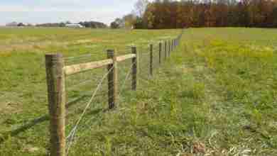 farm fence