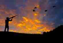 Bird Hunting Silhouette