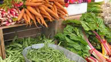 Farmers Market 3