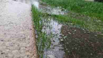 Rainfall