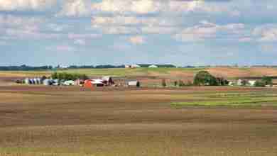 Iowa Farm