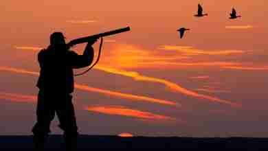 The Silhouette Of A Hunter On Sunset Background