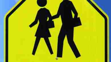 Slow School Zone Sign