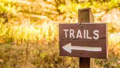 Trails Sign For Hiking