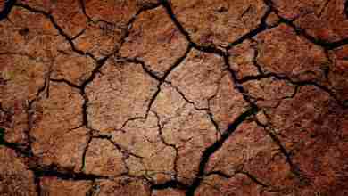 Cracked Earth