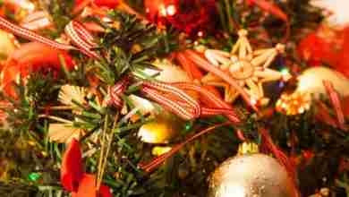 Inside The Christmas Tree