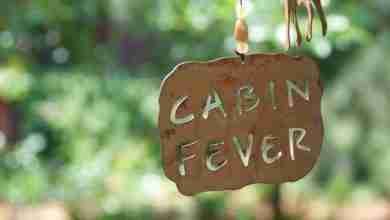Cabin Fever