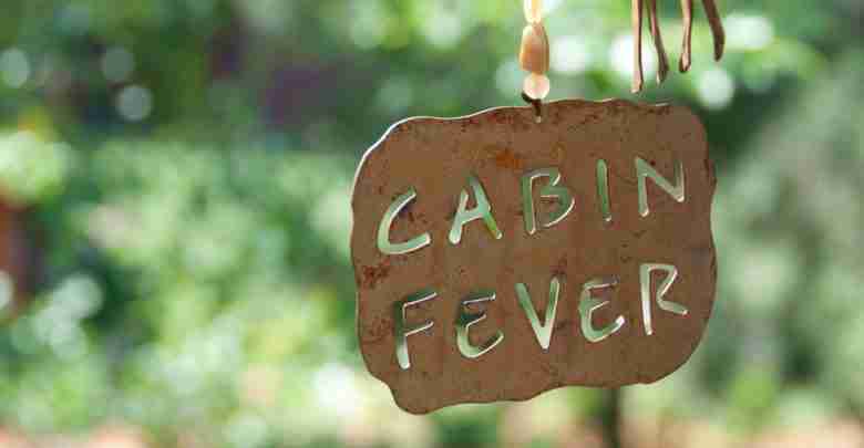 Cabin Fever