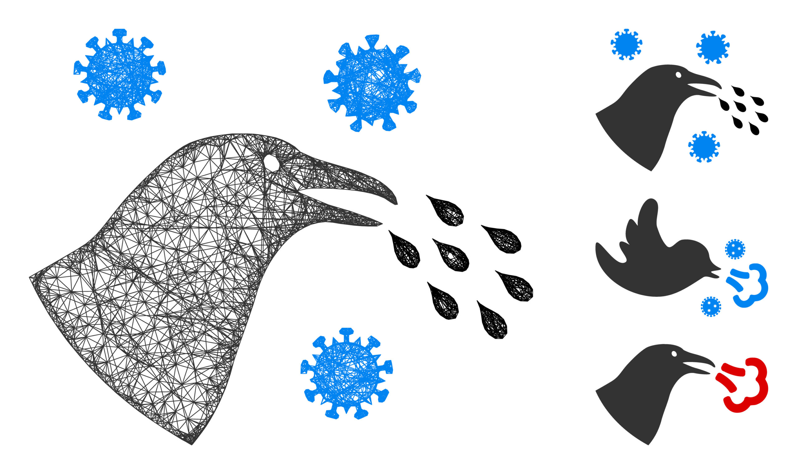 Second Case of Highly Pathogenic Avian Influenza Detected in North Iowa in January