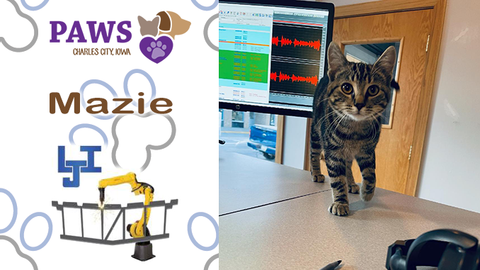 PAWS Pet of the Week - Mazie; PAWS Fun Ride THIS Saturday; Donations; Volunteers wanted