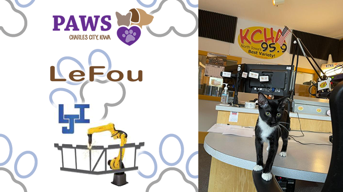 PAWS Pet of the Week - LeFou; Thursday's Chips for Pets event; Fun Ride next week; volunteers and donation needs