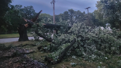 Storm damage at intersection of Kelly and N Johnson St / 8-29-24