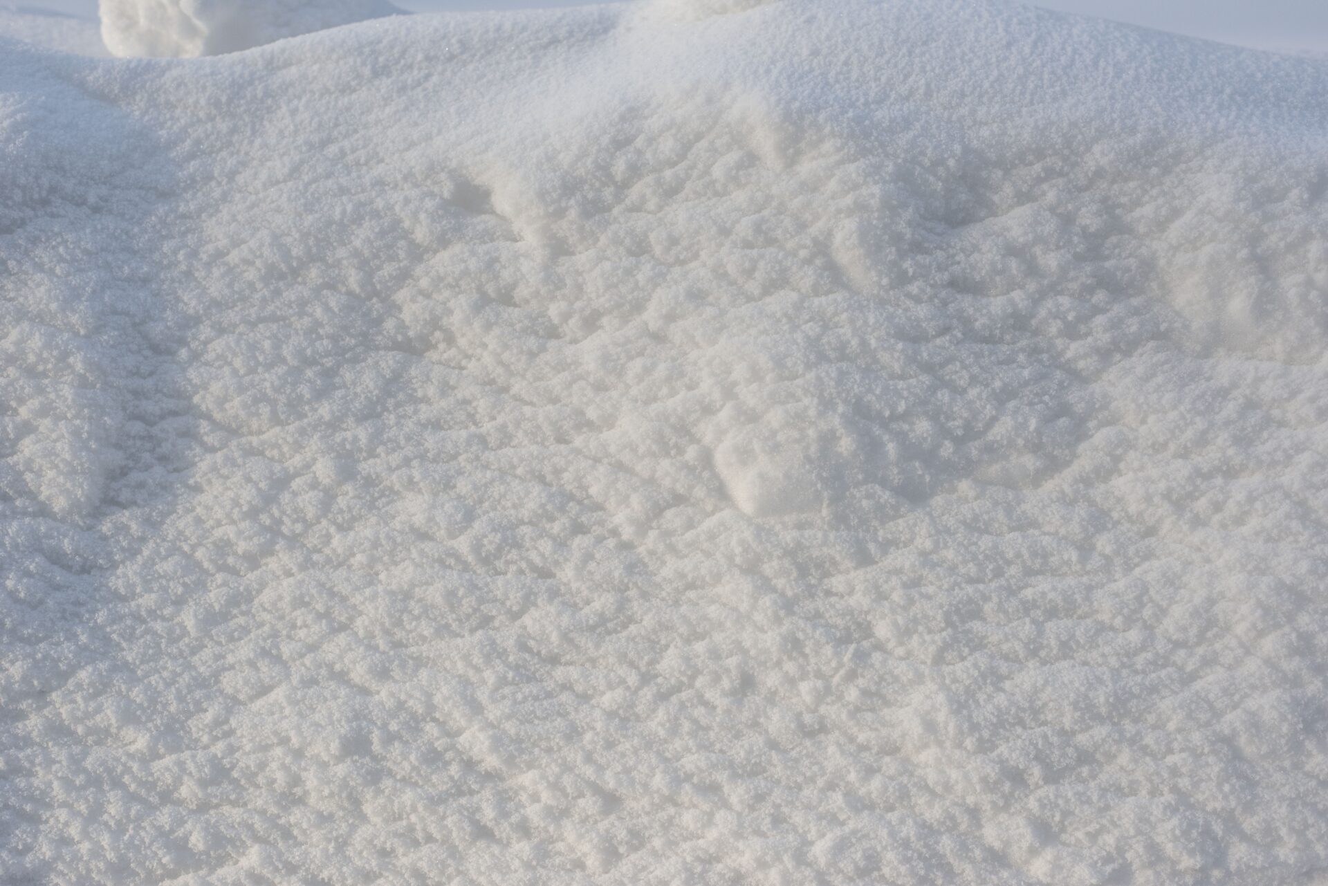 Snowstorm Leads to Theft Charges Against Northeast Iowa Man