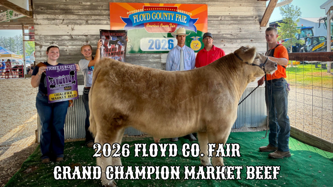 2026 Floyd County Fair Grand Champion Market Beef