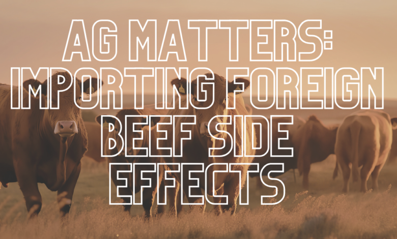 Ag Matters: Importing Foreign Beef Side Effects