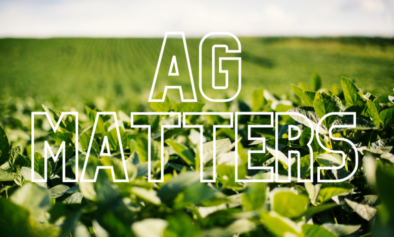Ag Matters: Excess Moisture Raises Disease Concerns in Soybeans