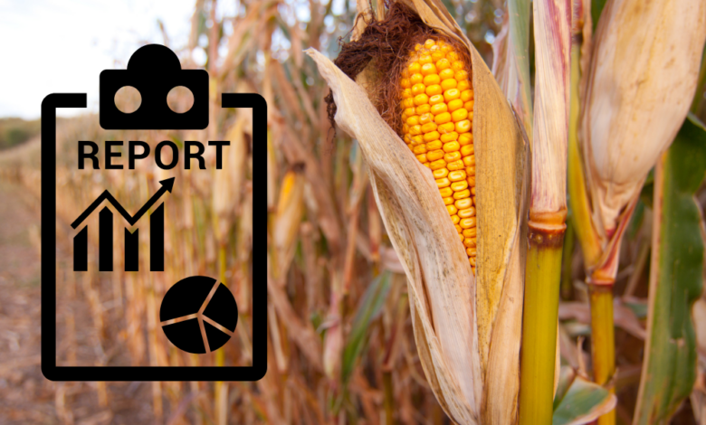 Crop and Progress Report