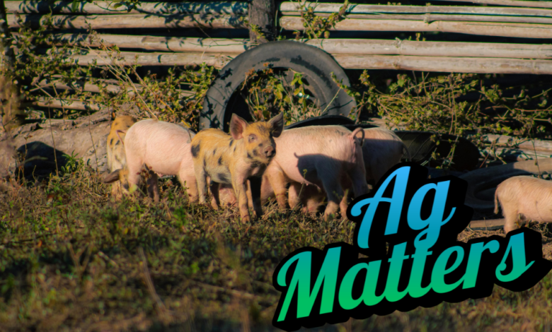 Ag Matters: Prop 12, Packers Act Riders Await Farm Bill Floor Action