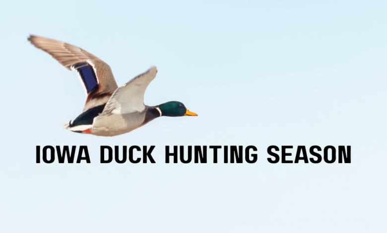 Iowa Duck Hunting Season