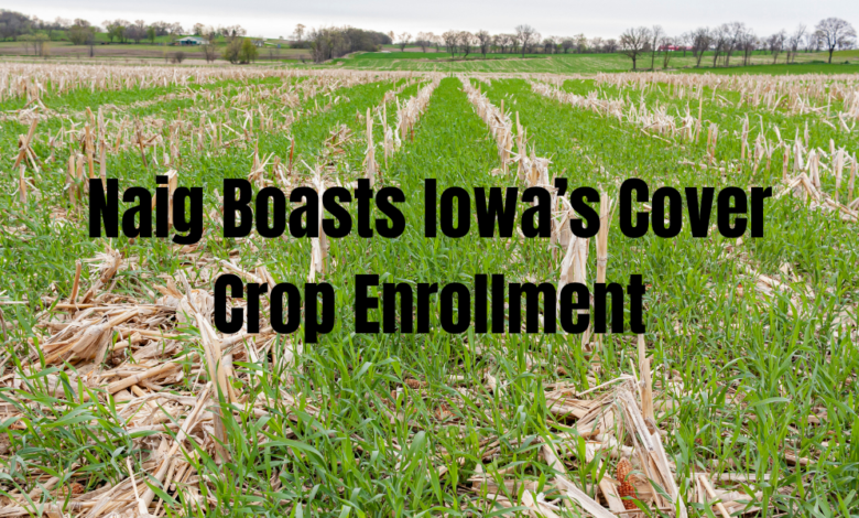 Naig Boasts Iowa’s Cover Crop Enrollment