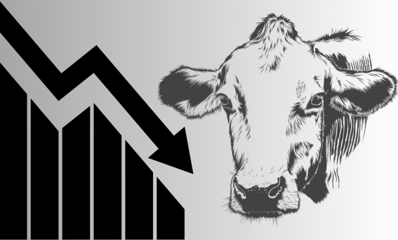 USDA Cuts Beef Production Forecast as Cattle Slaughter Slows