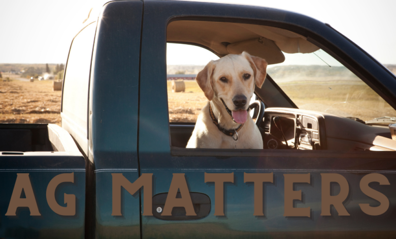 Ag Matters: A Listening Ear for Farmers