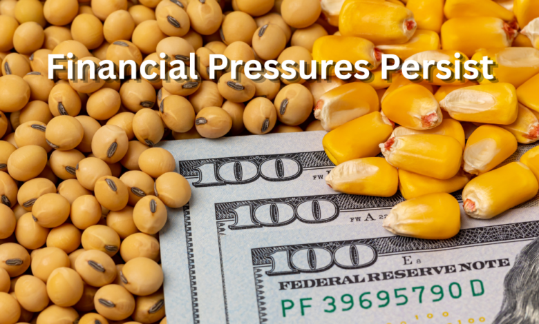 Financial Pressure Persists For Corn And Soybean Farmers