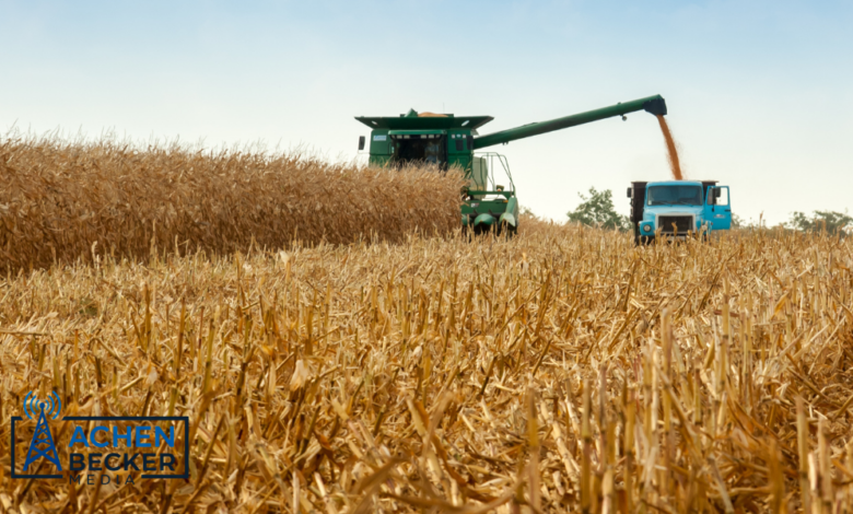 Wet Weather Leads to Uncertain Harvest