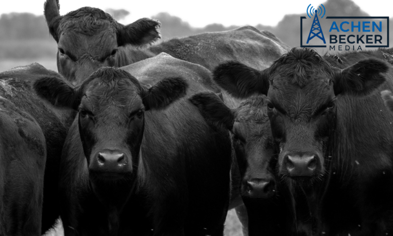 “Building Iowa’s Cattle Future” Plan