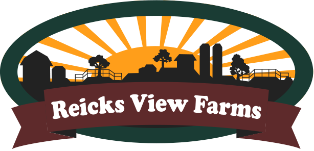Reicks View Farms