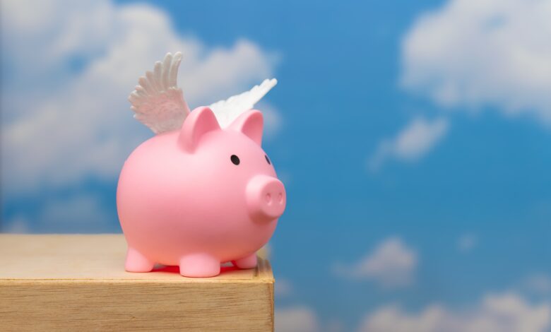 No Pigs Flying in North Iowa This Weekend