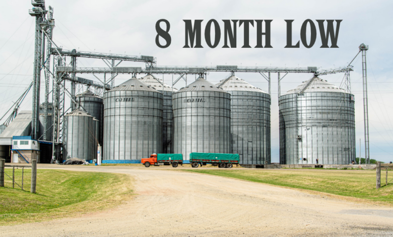 U.S. Ethanol Production Drops to Eight-Month Low