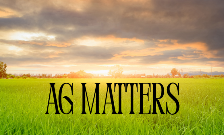 Ag Matters: Foreign Farmland Ownership