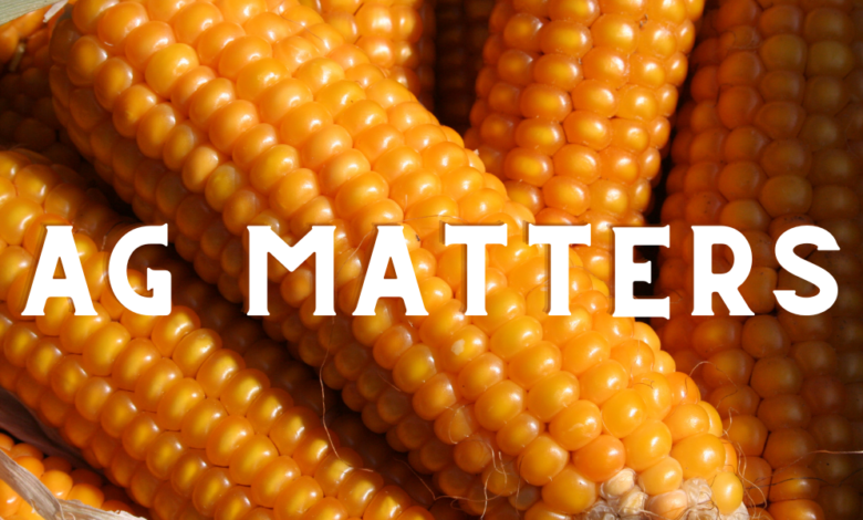 Ag Matters: Volatility Likely Ahead in Basis Levels