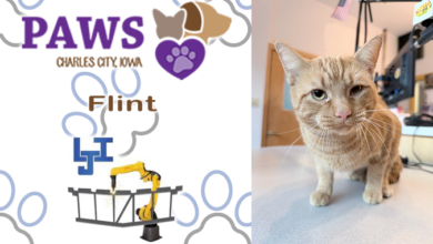 PAWS Humane Society in Charles City Introduces Flint as Pet of the Week, Announces November 4 Microchip Clinic and Upcoming Santa Paws Event