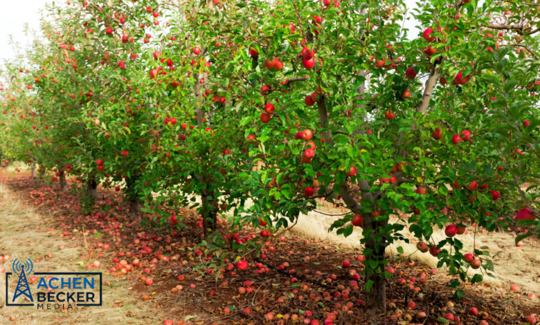 USDA Invests $86.6 Million in Specialty Crop Industry