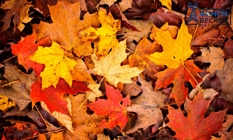 Fall Clean Up? Maybe Not!