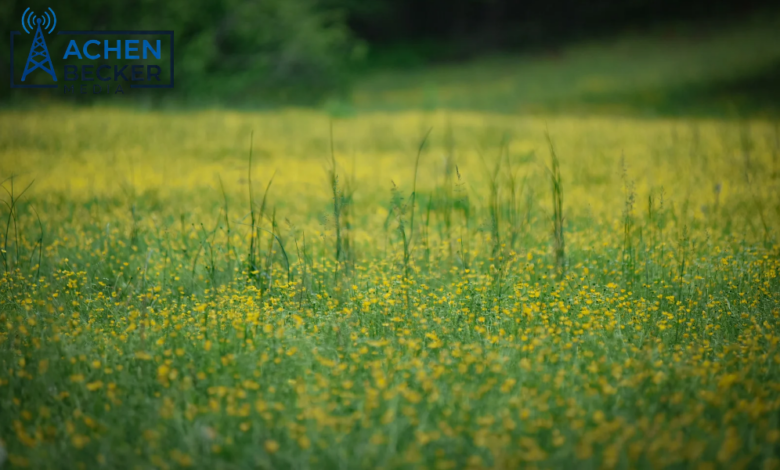 CRP Acreage Still Available for 2027 Sign-up untitled design