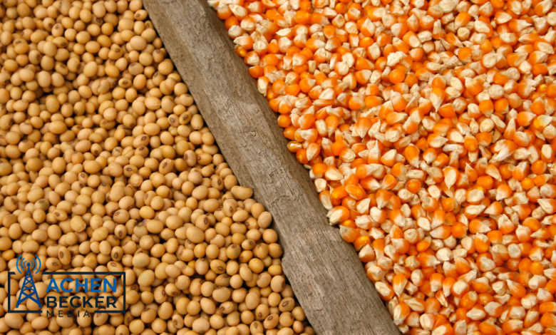 Soybean Export Inspections Climb While Corn and Wheat Decline untitled design (2)