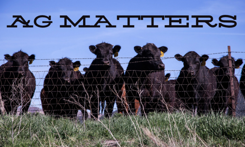 Ag Matters: Beef Import Plan a Flop?