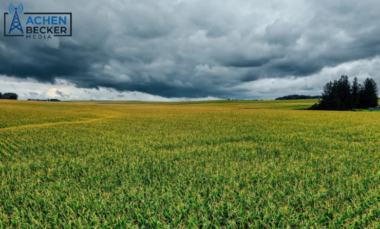 Heavy Rain Keeping Harvest at a Halt?