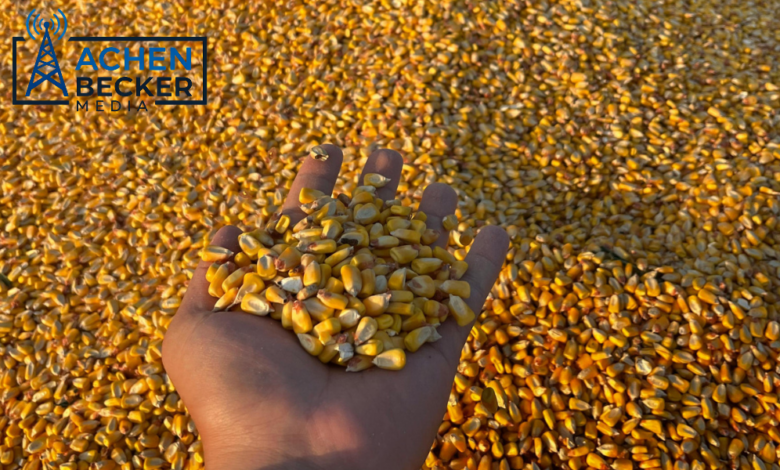 USDA Corn Yield Estimates Raised
