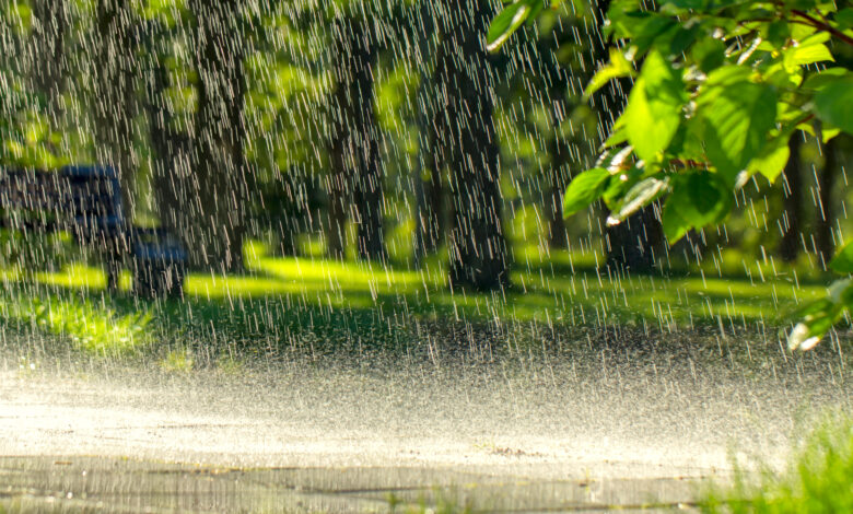 September Fourth Wettest in Iowa History, Areas of Northeast Iowa Record 8+ Inches