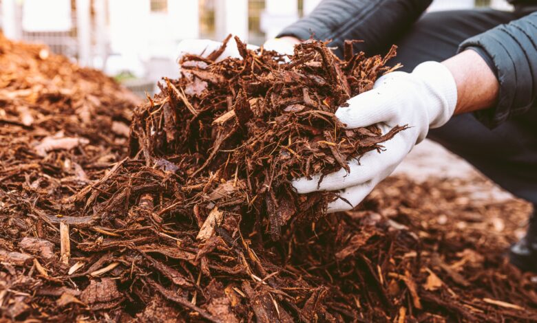 Mason City Public Works has Free Mulch; Will Deliver to 30-Mile Radius