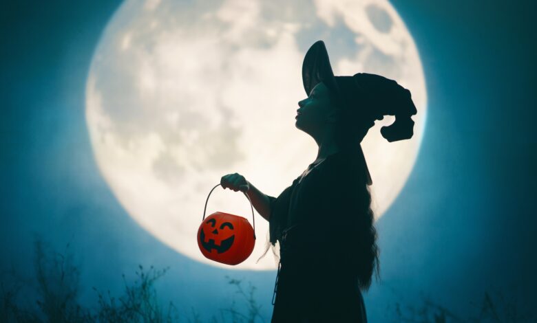 Chickasaw County Conservation Halloween Hikes 2026 Tuesday (Oct. 13) Night
